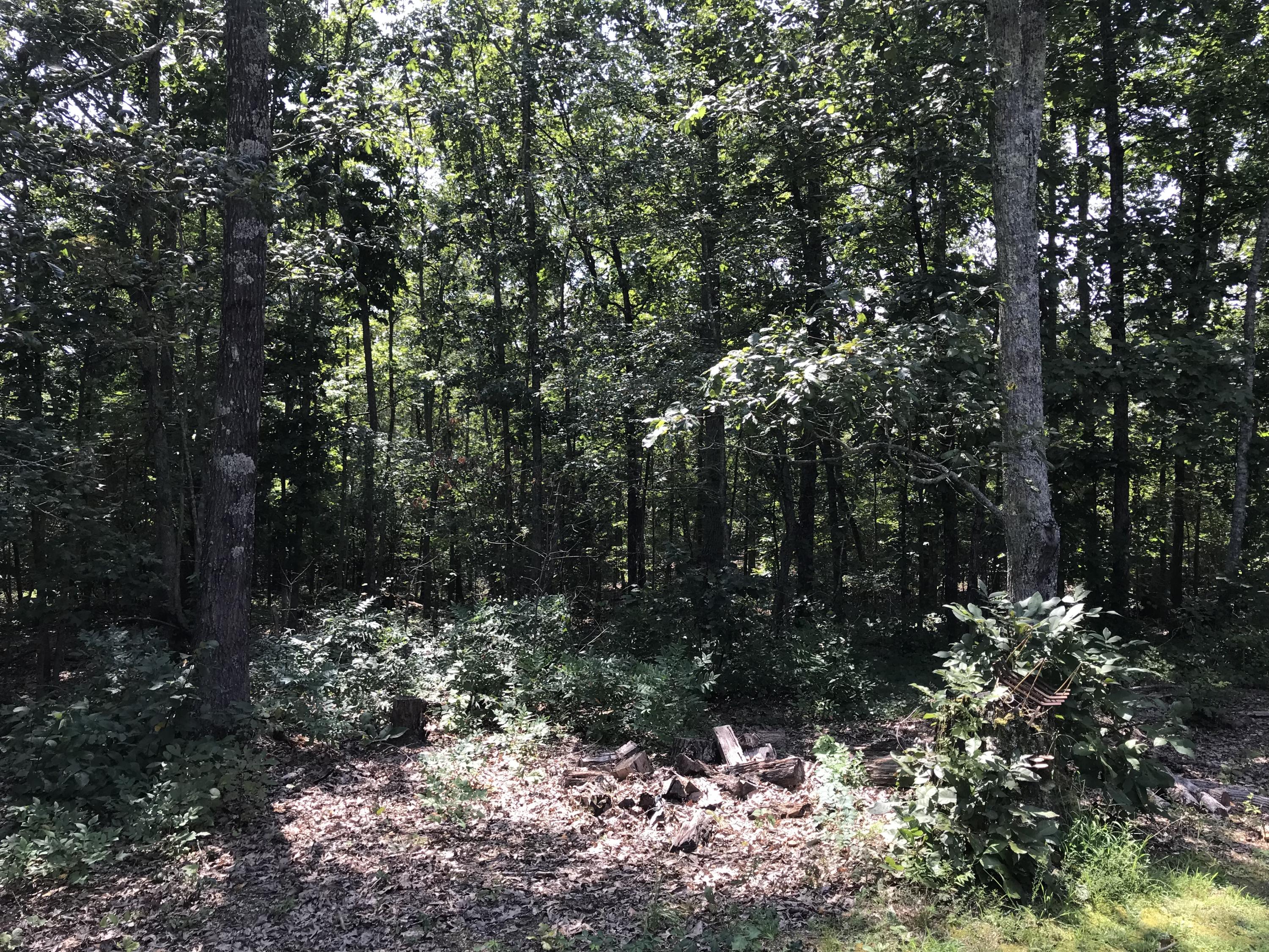 198 Potter Place Road Northwest Charleston, TN 37310 - Photo 45 of 63 93A05A2E-784C-4FBE-882D-02DEBD117295