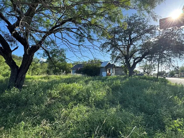 a view of a large yard with plants and large trees