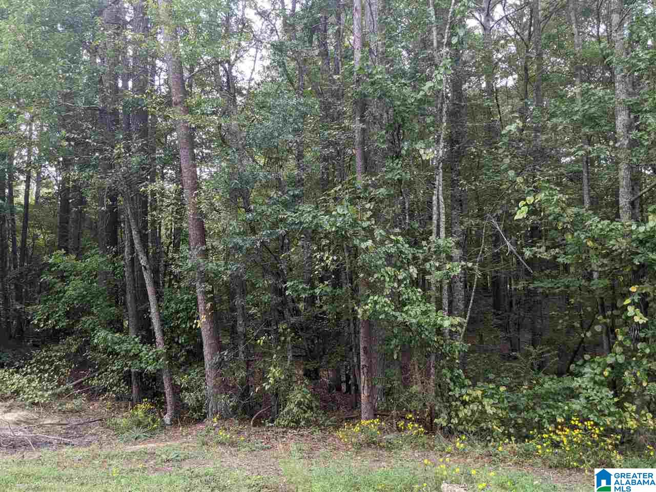0 Smith Avenue, Unit 3 2 Anniston, AL 36207 - Photo 18 of 43