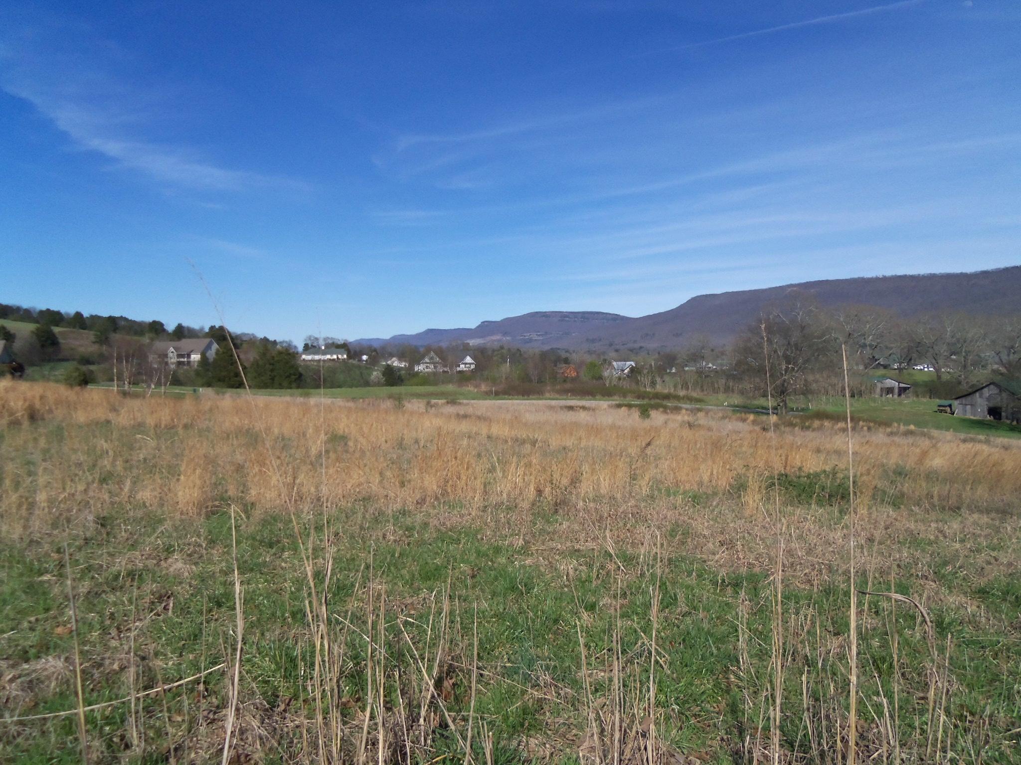 24 Hudlow Road Dunlap, TN 37327 - Photo 6 of 11 100_2395
