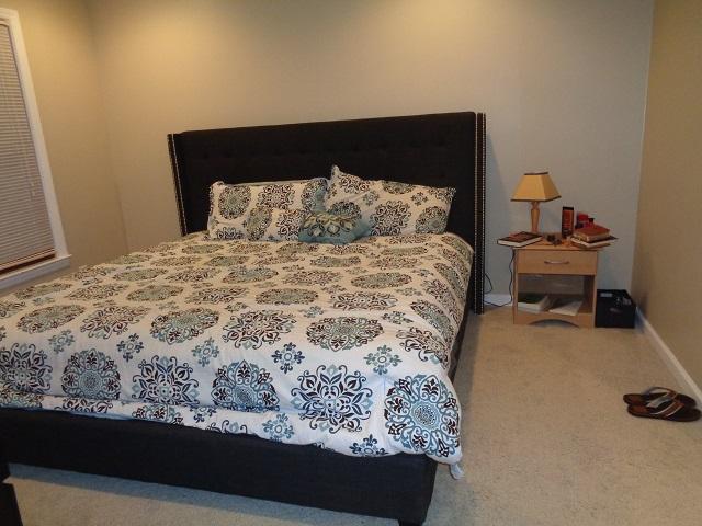 225 Brailsford Road Summerville, SC 29485 - Photo 17 of 25 DSC00024