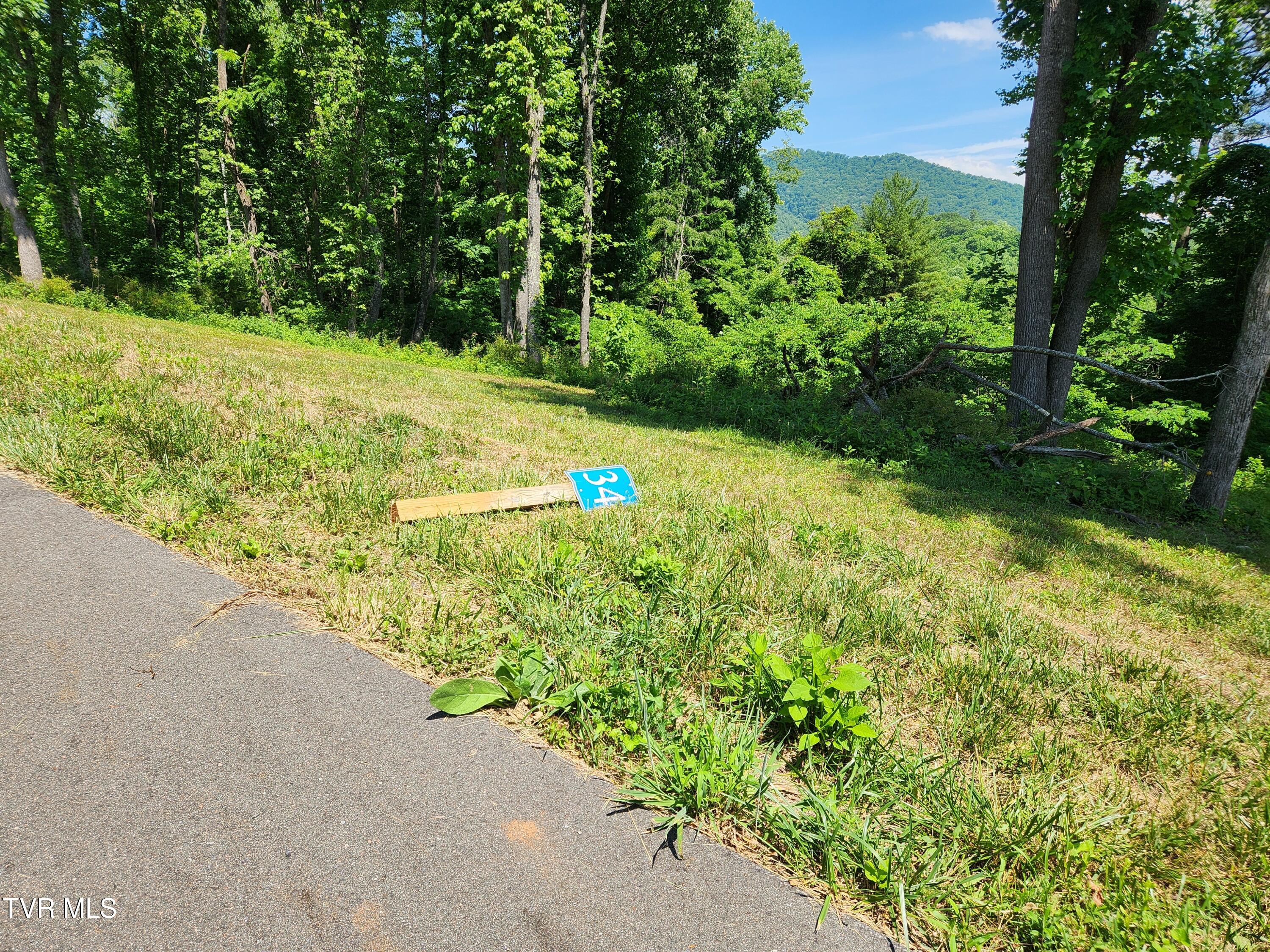 Lot 40 Cowan Town Road, Unit 40 Butler, TN 37640 - Photo 82 of 117 Lot 34 across rd STEEP