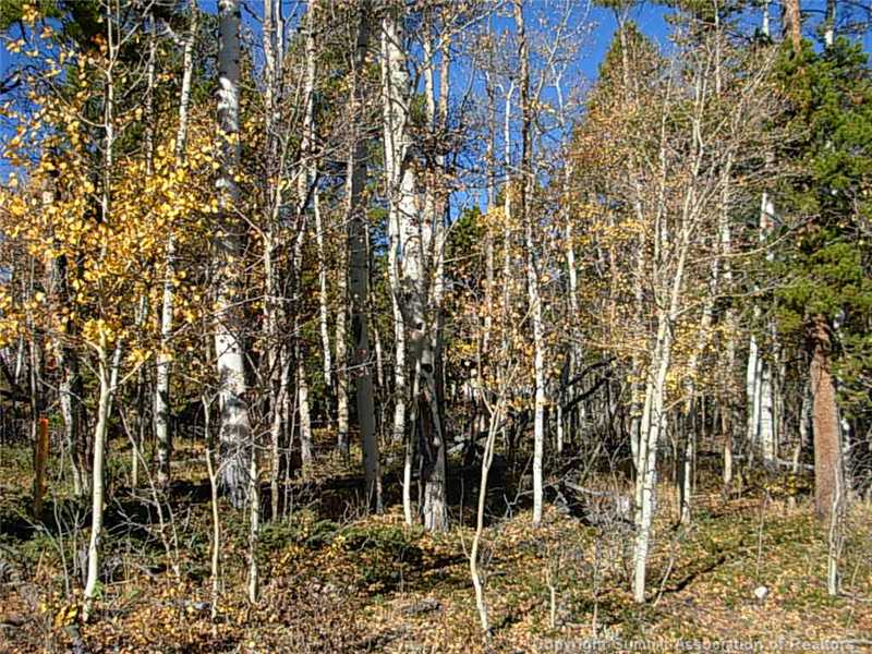 2241 High Creek Road Fairplay, CO 80440 - Photo 1 of 1 Land/Lot.