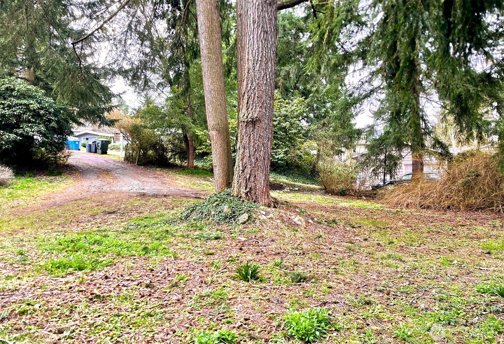 7915 201st Street Southwest Edmonds, WA 98026 - Photo 6 of 13 Gallery Image 6