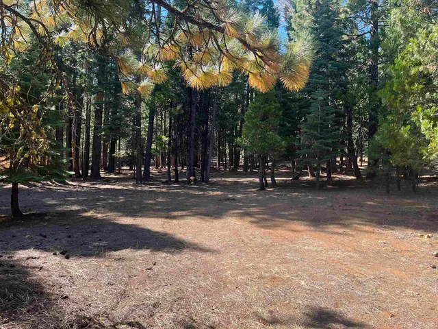 a view of street with trees