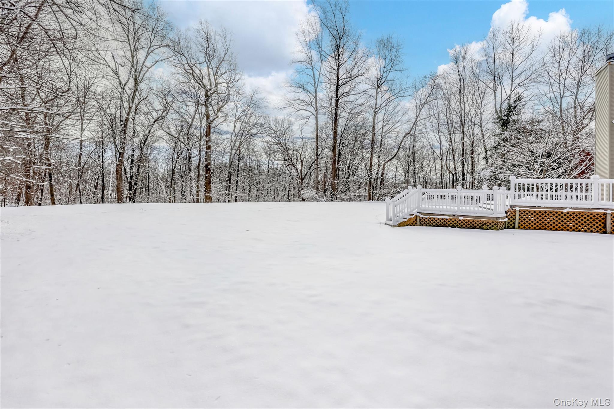 25 Coe Farm Road Suffern, NY 10901 - Photo 25 of 29