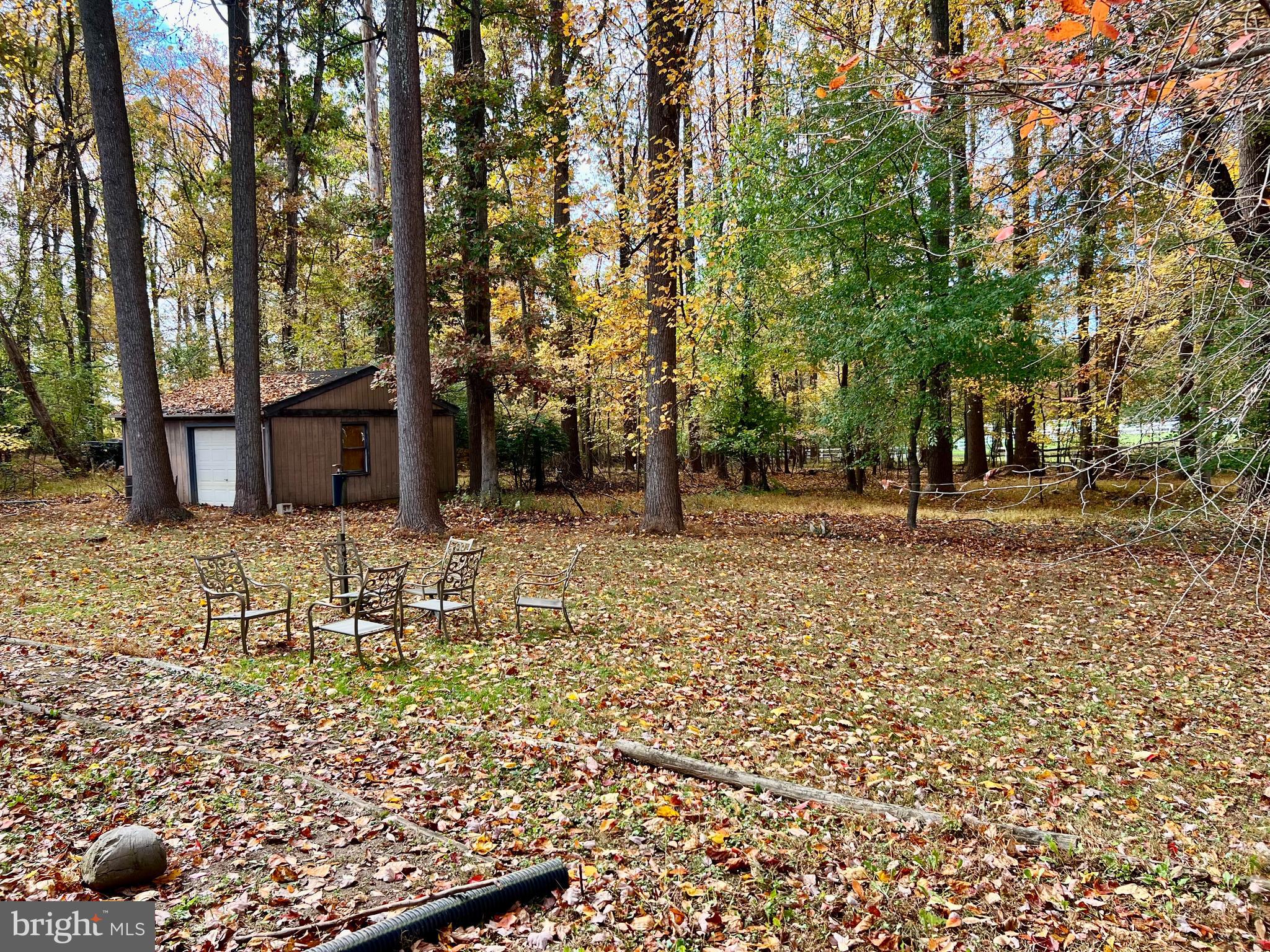 7510 Sanner Road Laurel, MD 20723 - Photo 24 of 26 a backyard of a house with lots of green space