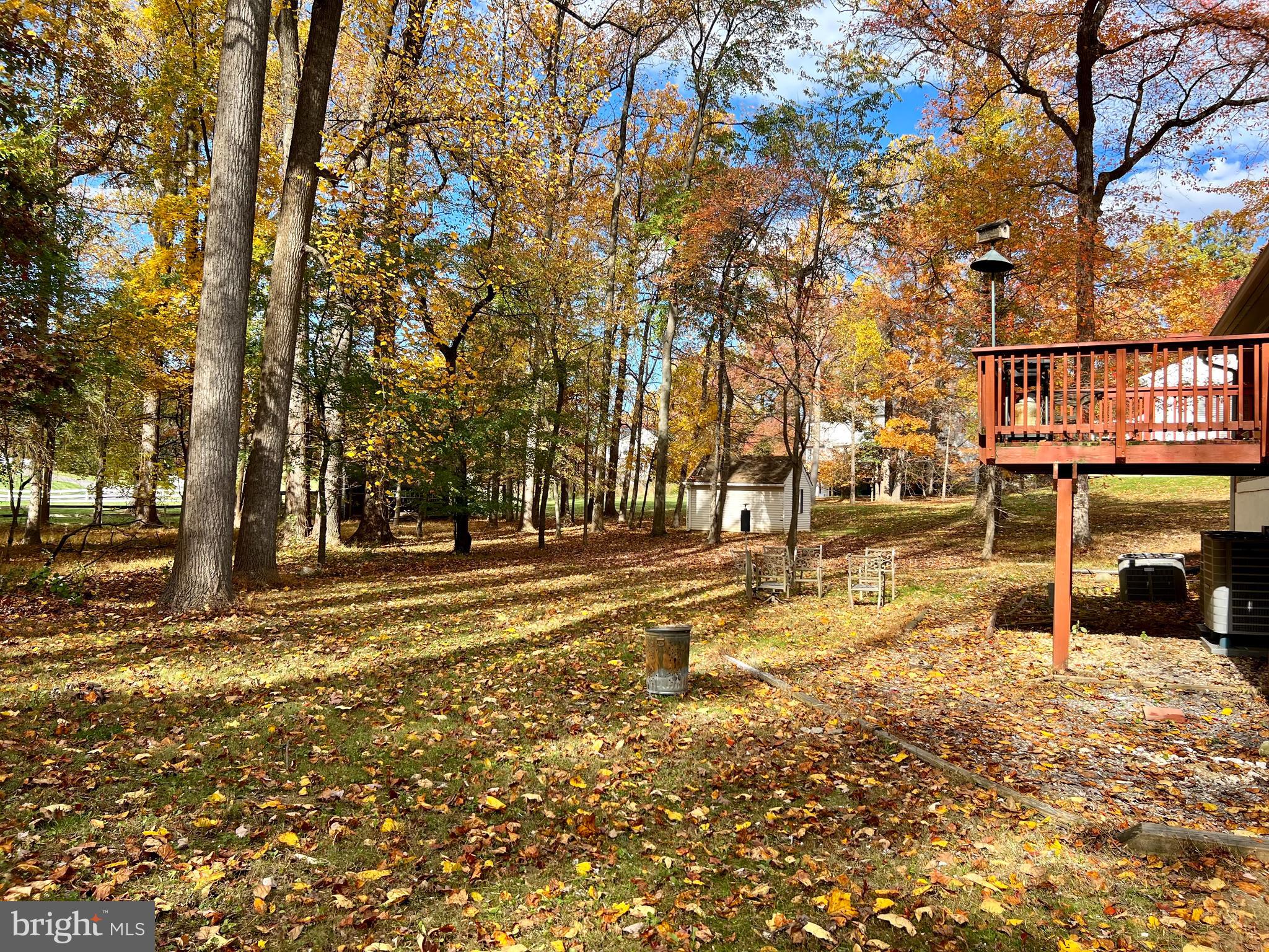 7510 Sanner Road Laurel, MD 20723 - Photo 26 of 26 a view of a large yard with trees