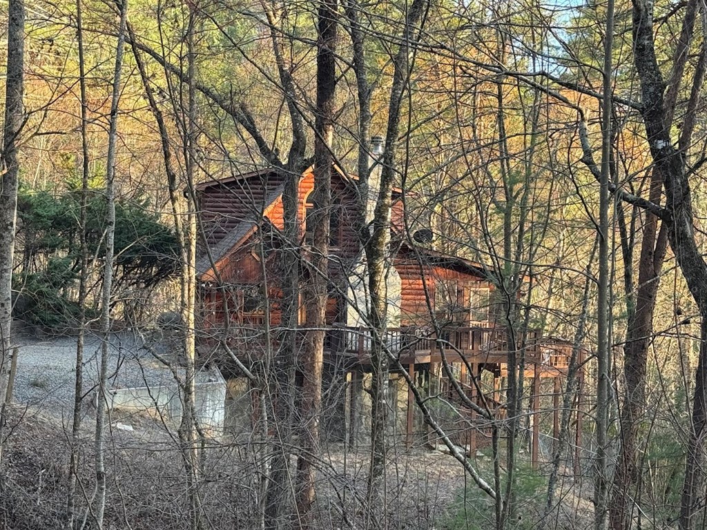 416 Snowy Road Morganton, GA 30560 - Photo 20 of 22 Gallery Image 20