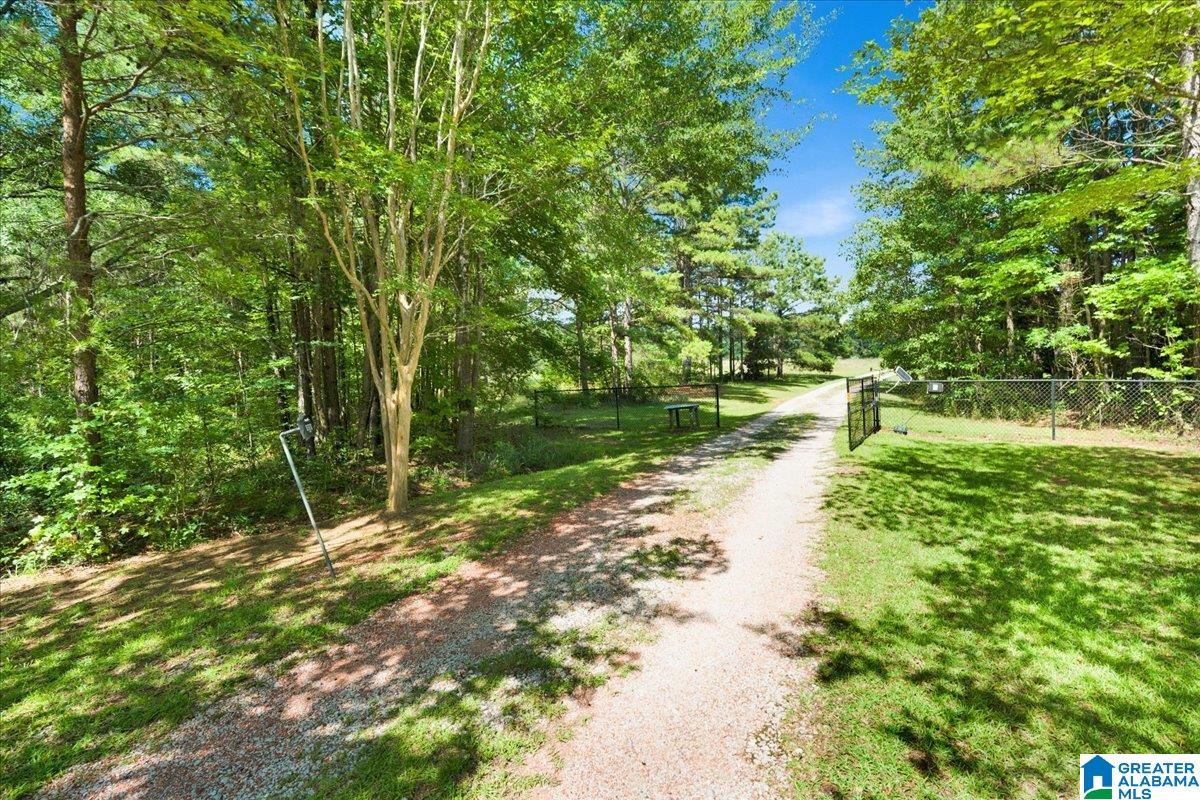 9868 Bankston Road Dora, AL 35062 - Photo 6 of 48