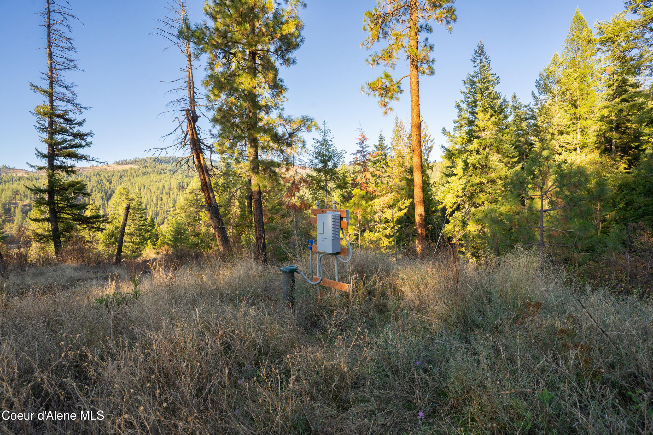 1-2 Moose Mtn Road Priest River, ID 83856 - Photo 4 of 53 39__dsc3821