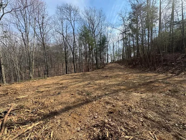 $33,900 | 1450 Hanna Drive, Ranger, GA 30734