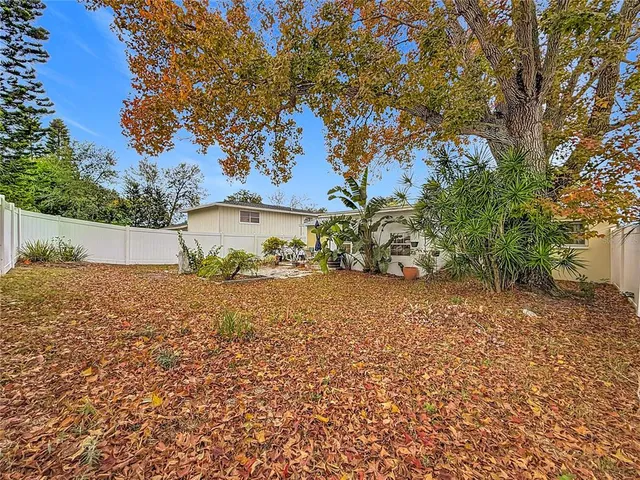 a view of a yard with an tree