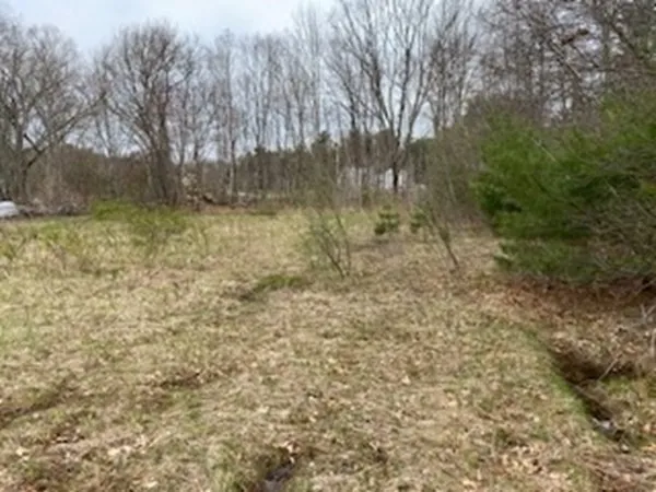 a view of a yard with wooden fence