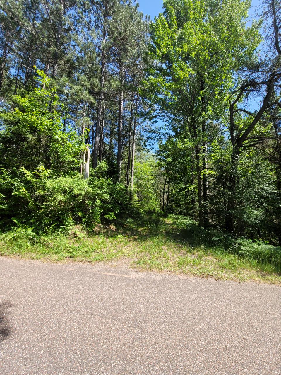 On Blue Bill Road, Unit LOT 2 Presque Isle, WI 54557 - Photo 7 of 9 Gallery Image 7