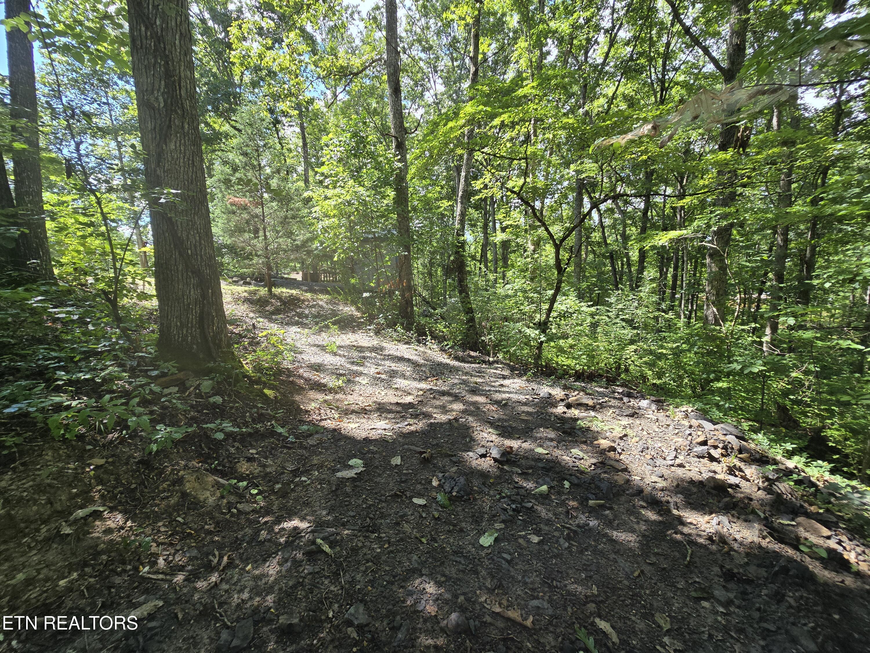 256 Siever Road Crossville, TN 38572 - Photo 23 of 34 20250726_144929