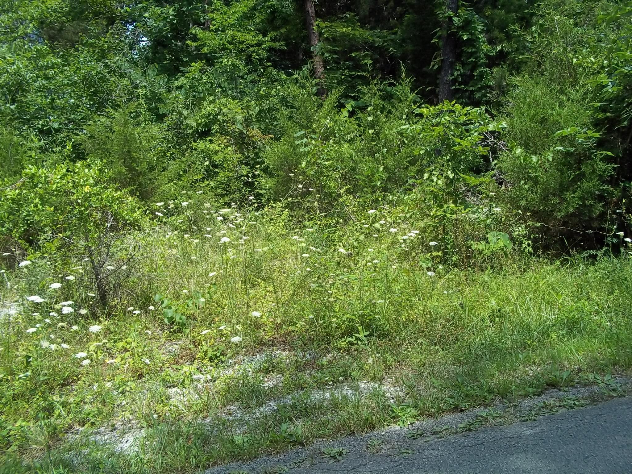 1105 Garland Road Burnside, KY 42519 - Photo 4 of 17 100_1029