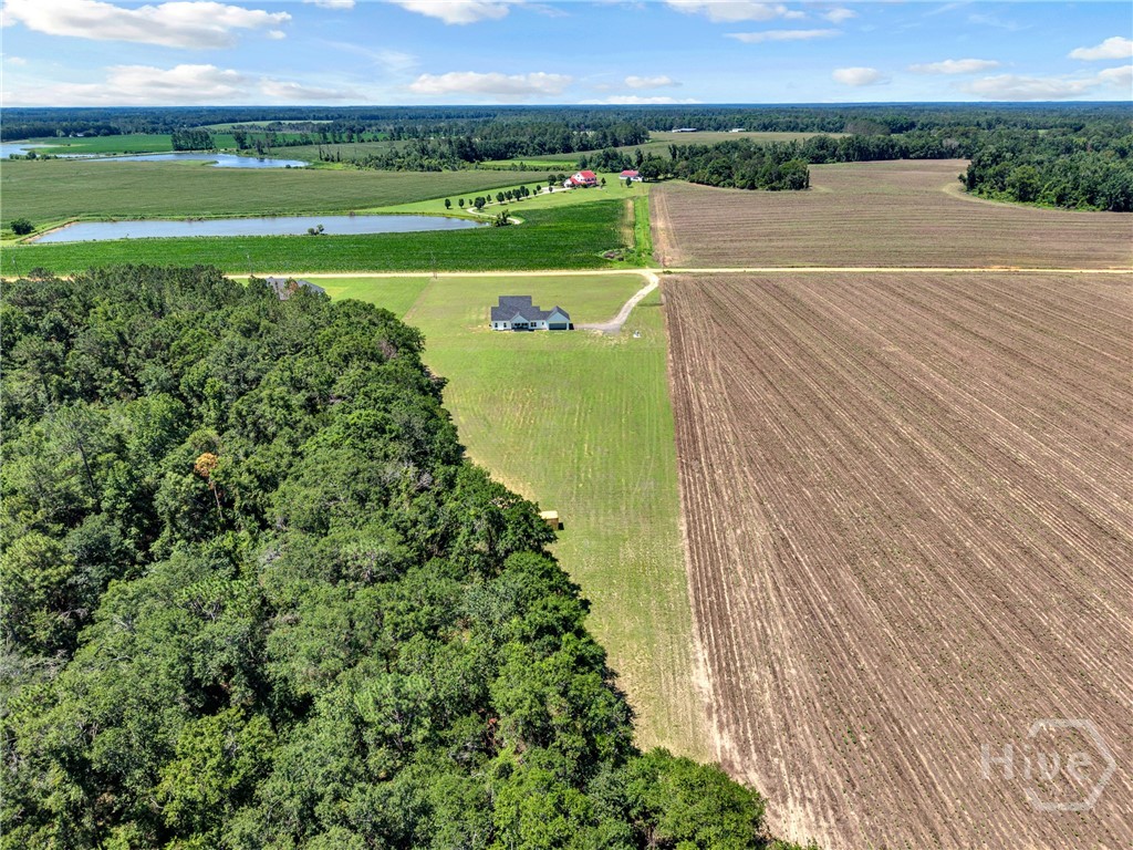 2997 Jason Franklin Road Register, GA 30452 - Photo 50 of 61