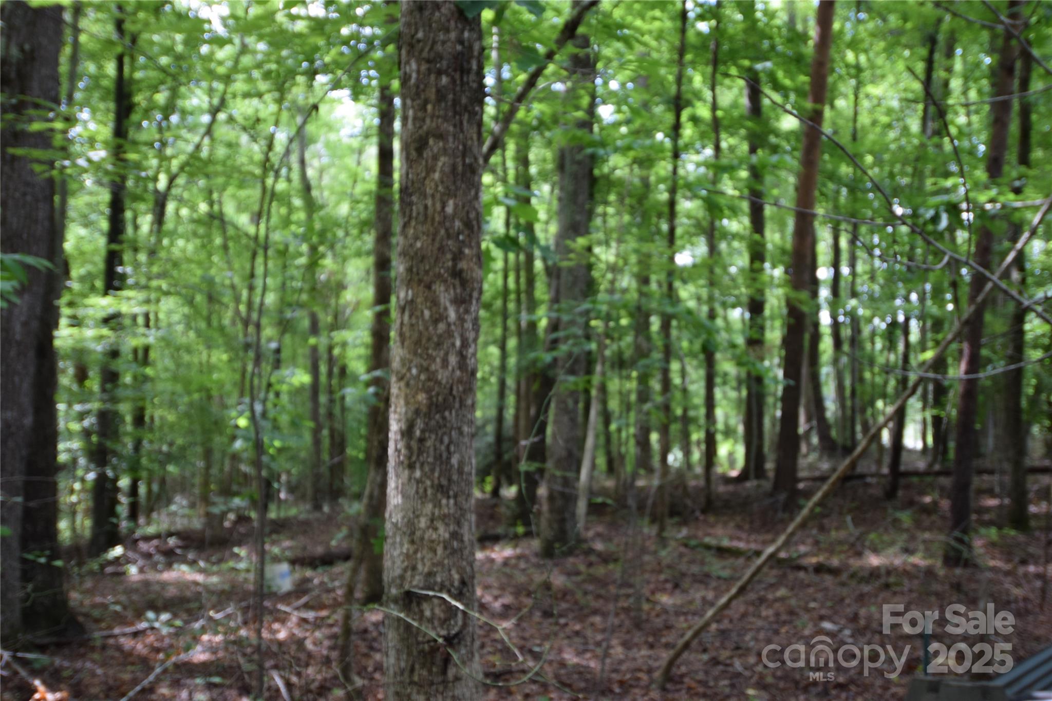 3375 Old Seine Road Smyrna, SC 29743 - Photo 1 of 1 Gallery Image 1