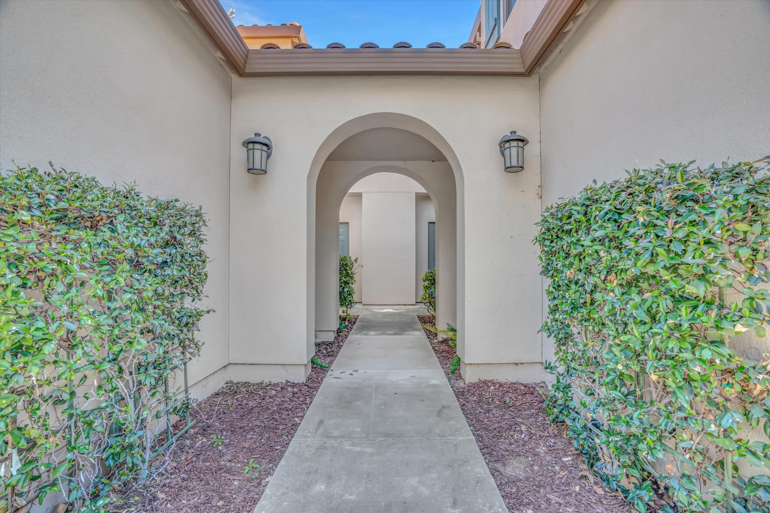 62 South Rio Rapido Drive Tracy, CA 95391 - Photo 6 of 40 a view of a garden with plants