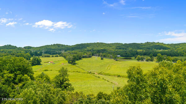 1913 Dry Fork Valley Road Philadelphia, TN 37846 - Photo 1 of 12 IMG_5767