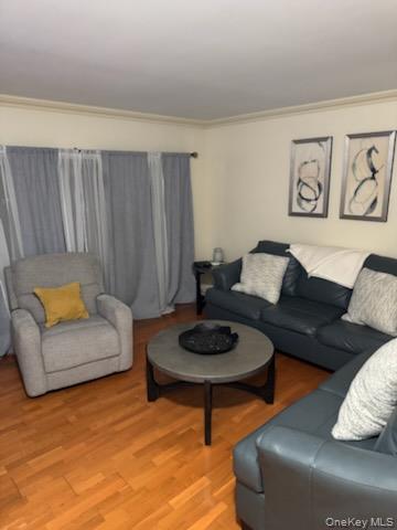 23 Notingham Circle, Unit 23 Peekskill, NY 10566 - Photo 6 of 12 Living area featuring light wood-type flooring and crown molding