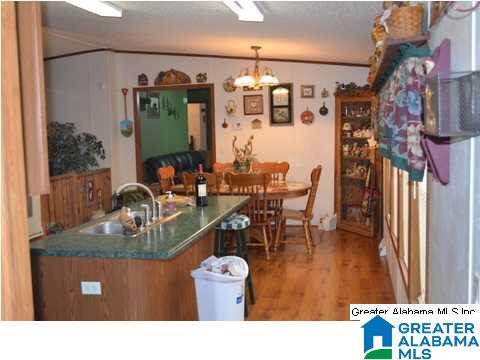 401 Old Settlement Road Oneonta, AL 35121 - Photo 2 of 28
