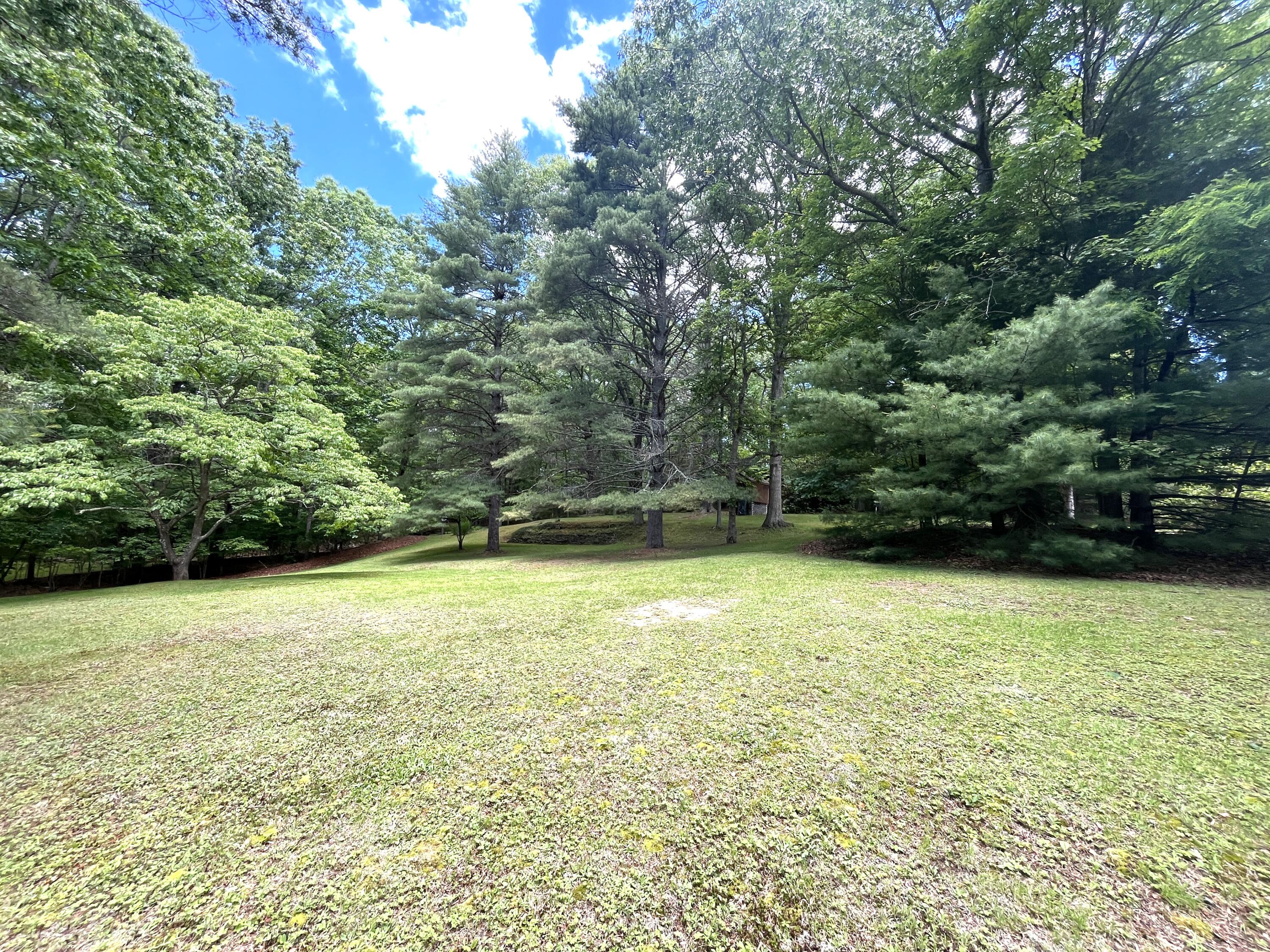 2092 Coleman Cliff Road Frankford, WV 24938 - Photo 35 of 52 Gallery Image 35