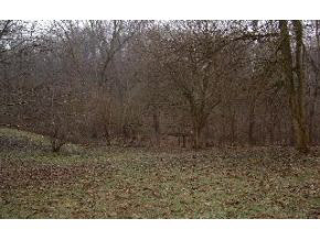 6900 South McCormick Road Bloomington, IN 47401 - Photo 11 of 16 Gallery Image 11