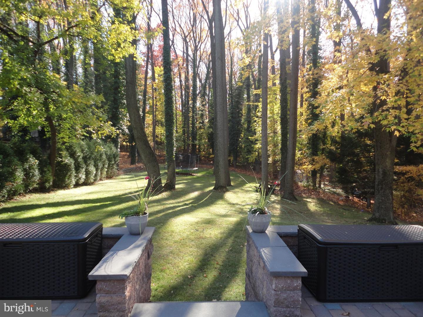 1007 West Avenue Springfield, PA 19064 - Photo 5 of 25 Back Yard