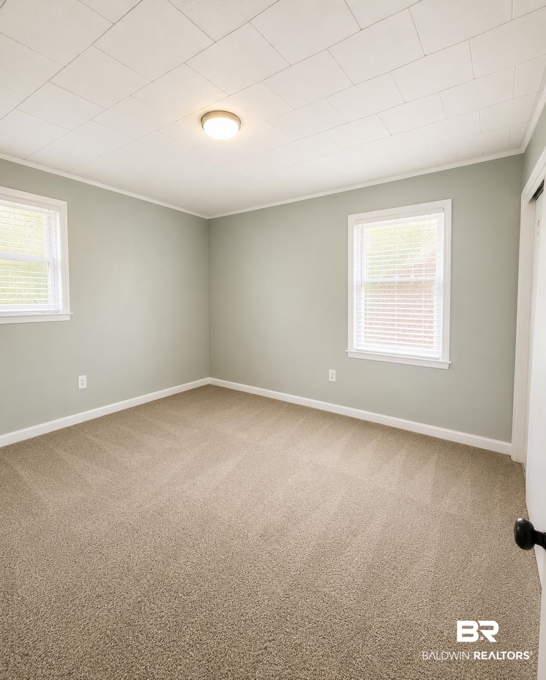 226 Elizabeth Street Evergreen, AL 36401 - Photo 18 of 35 Spacious room featuring neutral carpeting, light-toned walls, two windows with blinds, a ceiling-mounted light fixture, and white trim