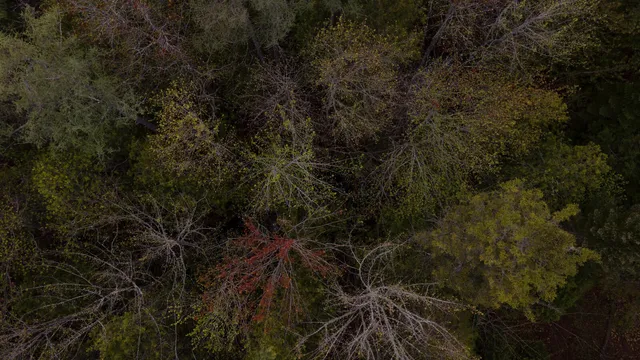 $10,000 | 214 Milford Road, Princeton, ME 04668