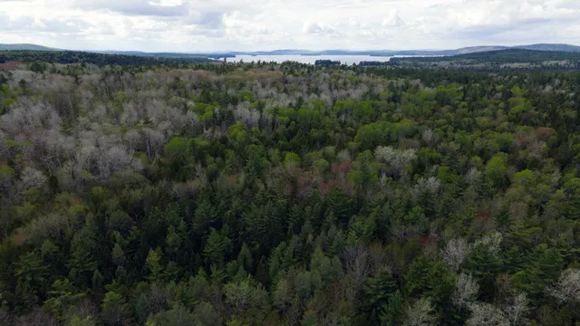 $10,000 | 214 Milford Road, Princeton, ME 04668