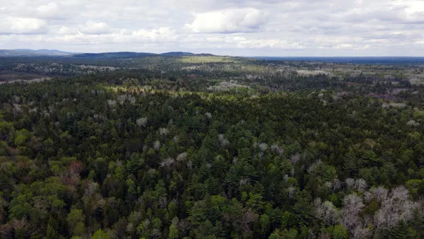 $10,000 | 214 Milford Road, Princeton, ME 04668