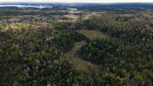 $10,000 | 214 Milford Road, Princeton, ME 04668