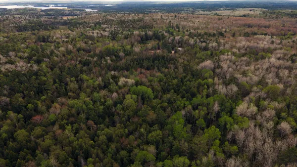 $10,000 | 214 Milford Road, Princeton, ME 04668