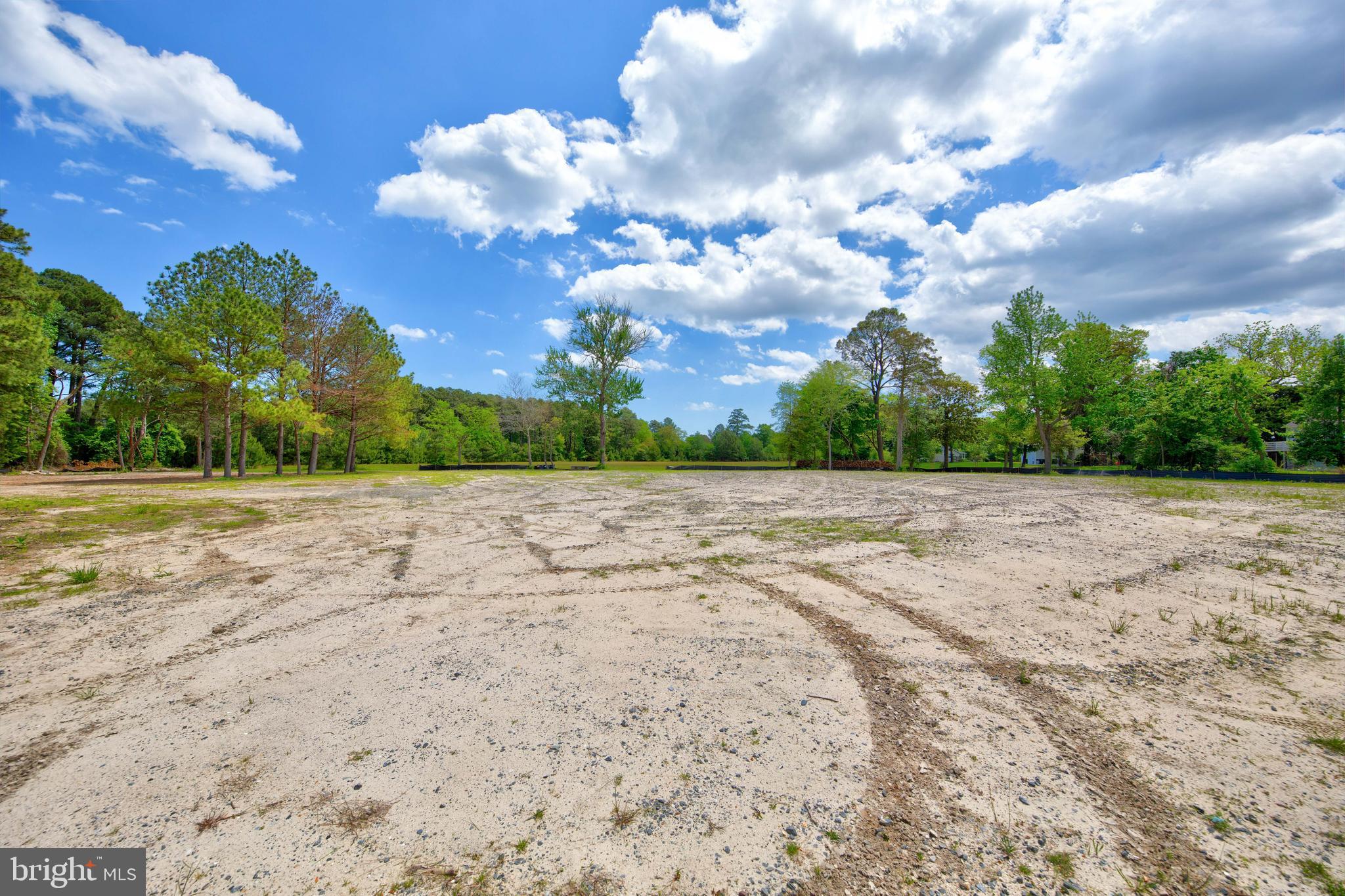 31772 Stevensons Road Dagsboro, DE 19939 - Photo 15 of 17 a view of a big yard with plants and large trees