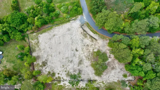 a view of a yard with plants and large trees