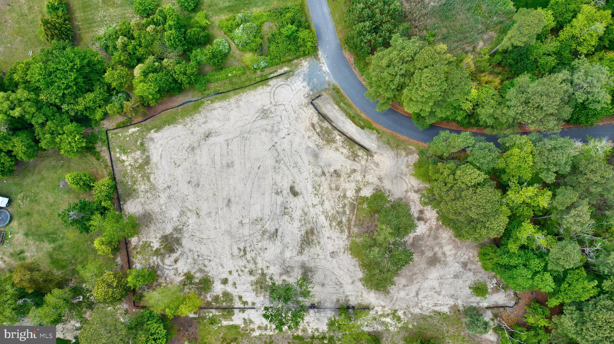 31772 Stevensons Road Dagsboro, DE 19939 - Photo 2 of 17 a view of a yard with plants and large trees