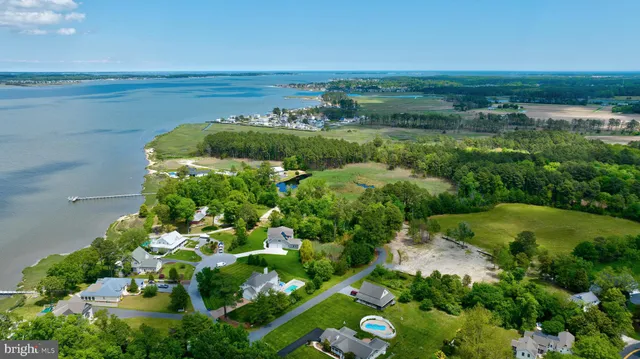 a view of a garden with an ocean