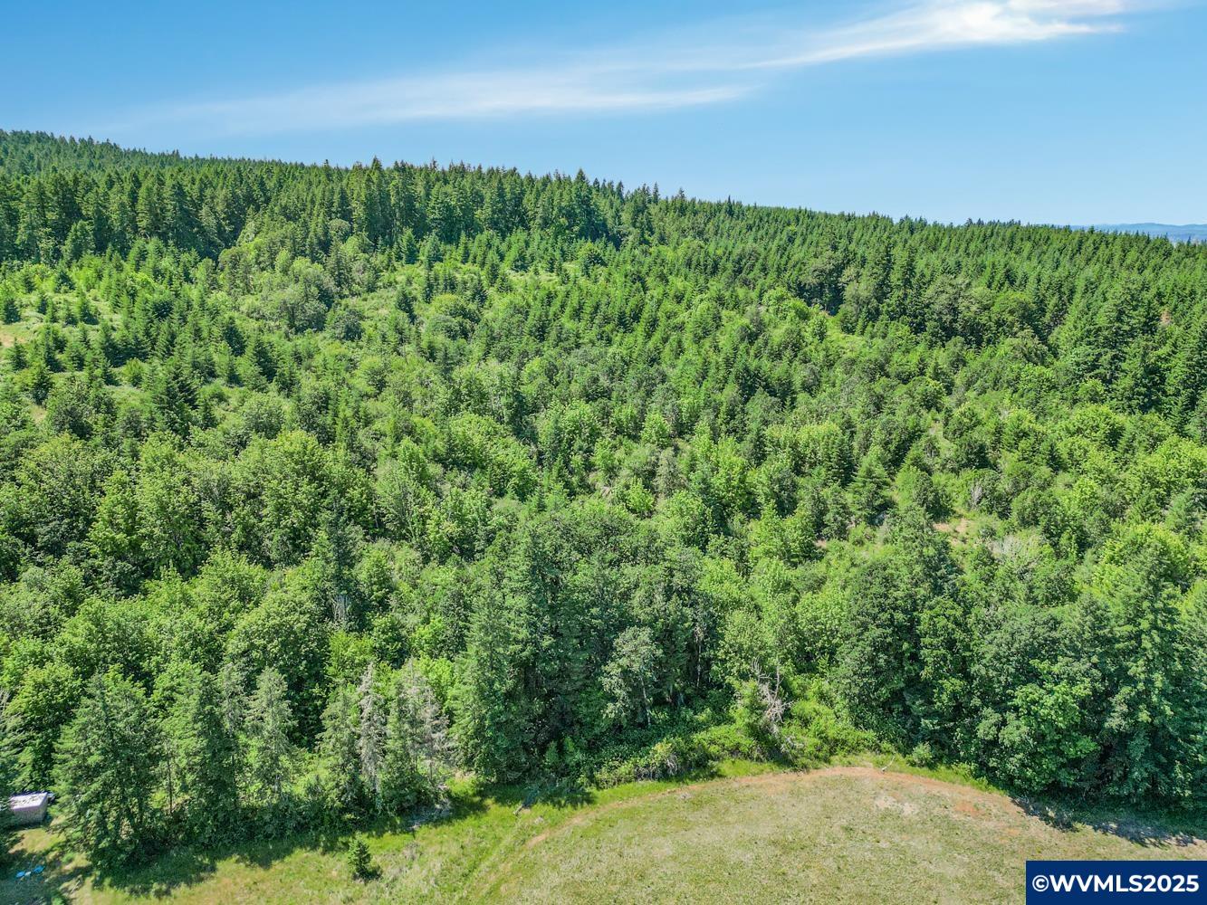 0 Gooseneck Road Sheridan, OR 97378 - Photo 4 of 39