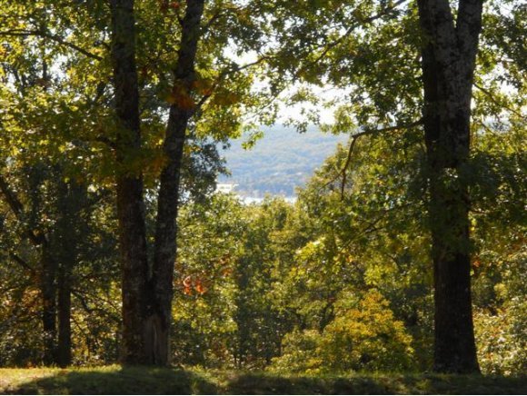 5 A Lovers Lane Reeds Spring, MO 65737 - Photo 1 of 1 Primary Photo
