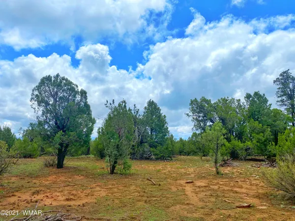 $250,000 | Tbd Bear Heights, Heber, AZ 85928