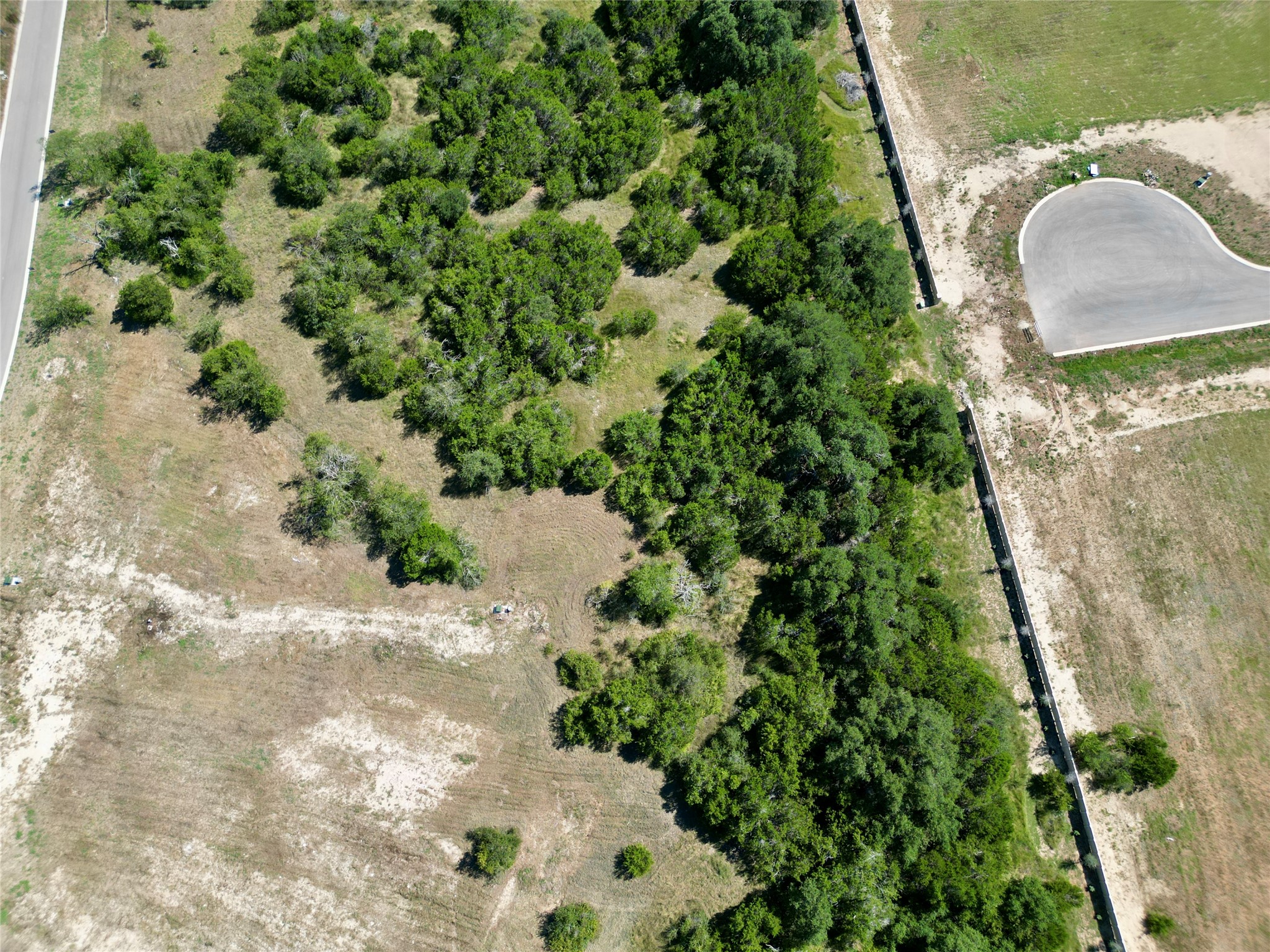 2201 Council Springs Pass Leander, TX 78641 - Photo 6 of 21 a picture of a yard