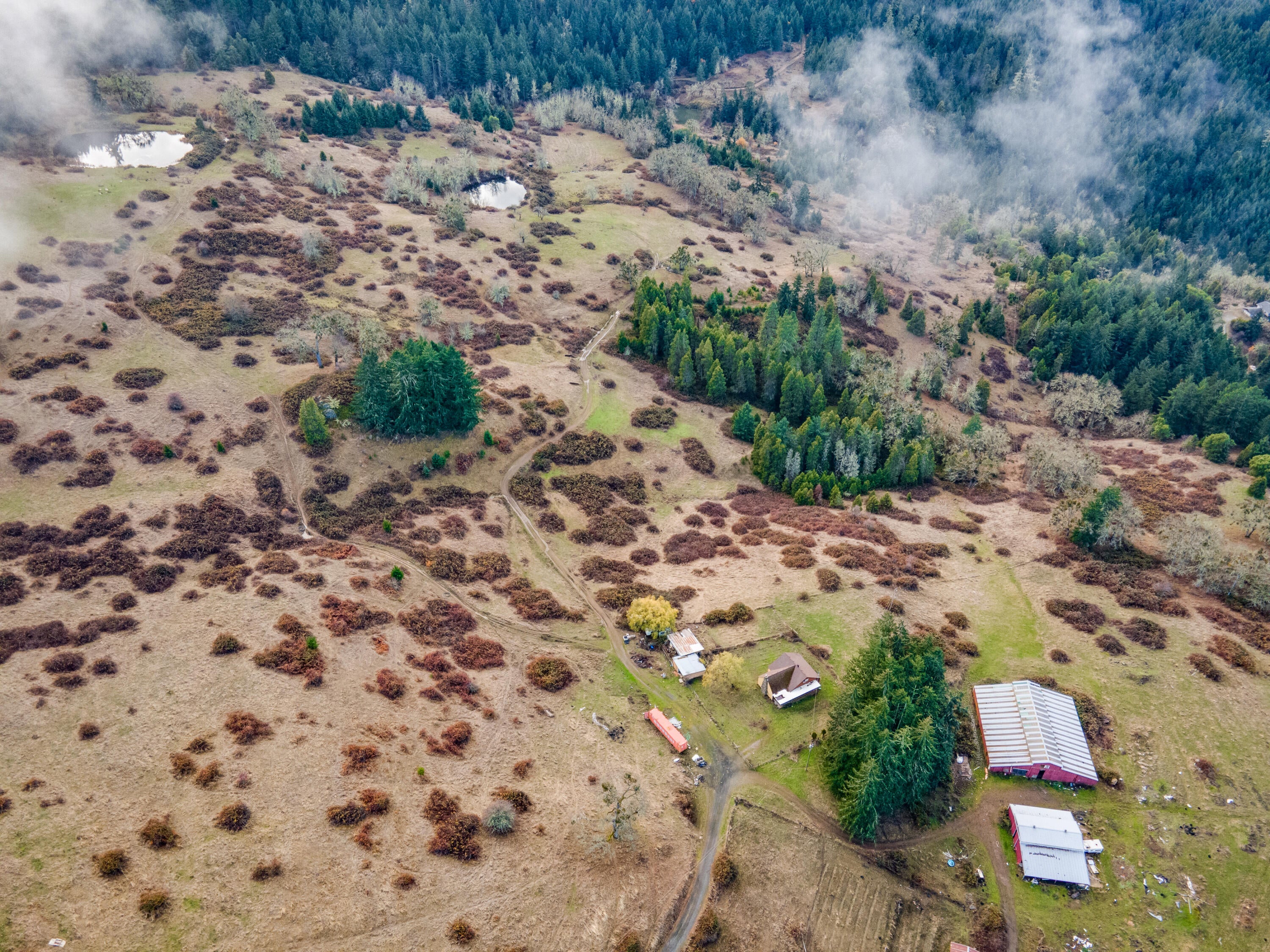3017 Boomer Hill Road Myrtle Creek, OR 97457 - Photo 17 of 53 3017 Boomer Hill Rd - Drone-18