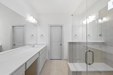 a bathroom with a double vanity sink a large mirror and shower
