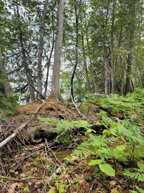 1 Railroad Bed Rd Lake View Milo, ME 04463 - Photo 18 of 27 lot5