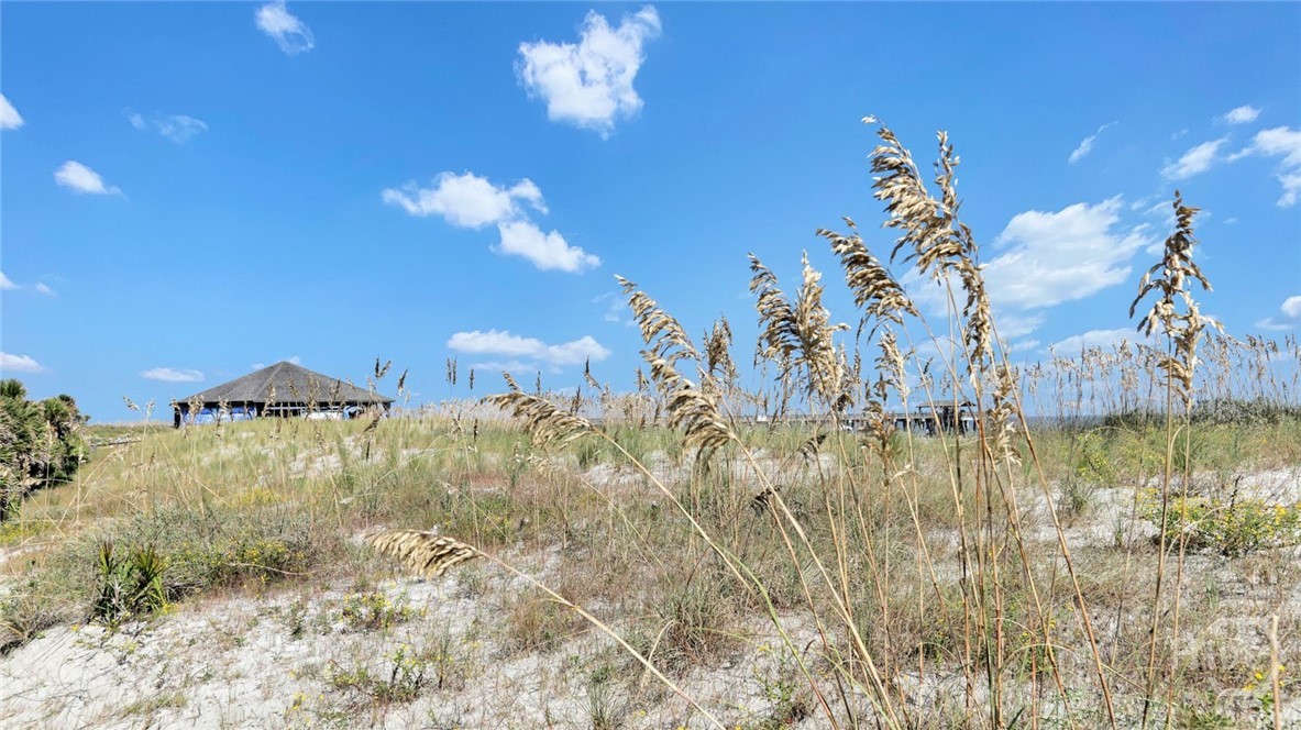 404 Butler Avenue Tybee Island, GA 31328 - Photo 37 of 44 Gallery Image 37