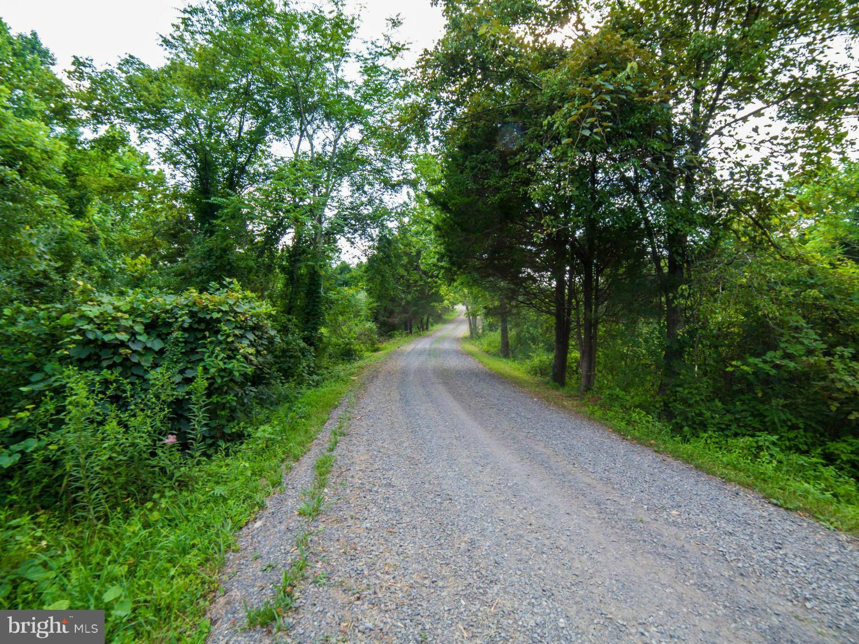 10383 Cliff Mills Road Marshall, VA 20115 - Photo 20 of 30 Long, private driveway