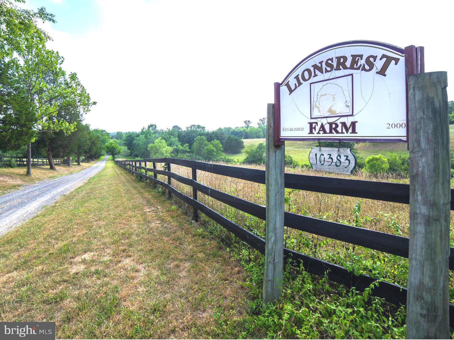 10383 Cliff Mills Road Marshall, VA 20115 - Photo 28 of 30 Welcome to Lionsrest Farm
